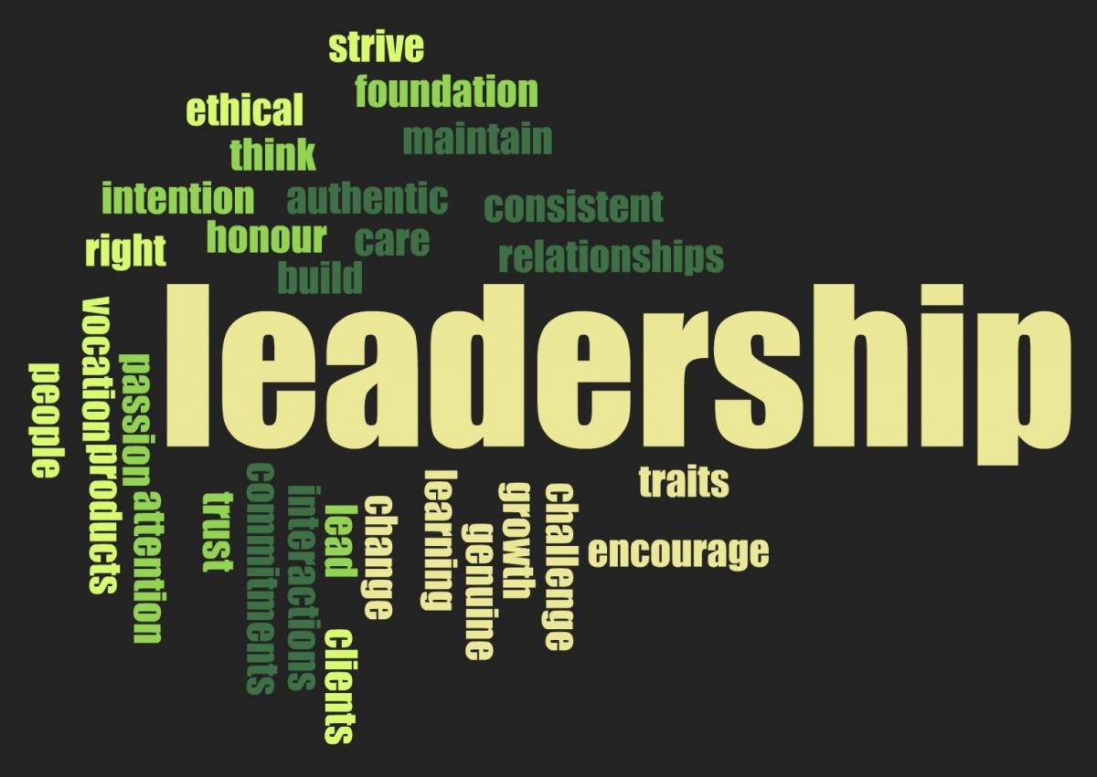 top-10-leadership-traits-the-performance-group